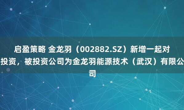 启盈策略 金龙羽（002882.SZ）新增一起对外投资，被投资公司为金龙羽能源技术（武汉）有限公司