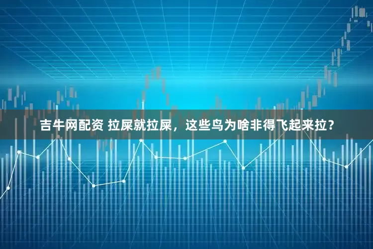 吉牛网配资 拉屎就拉屎，这些鸟为啥非得飞起来拉？