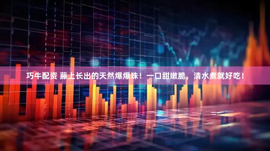 巧牛配资 藤上长出的天然爆爆珠！一口甜嫩脆，清水煮就好吃！